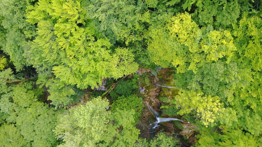 CASCADE CLAIREFONTAINE