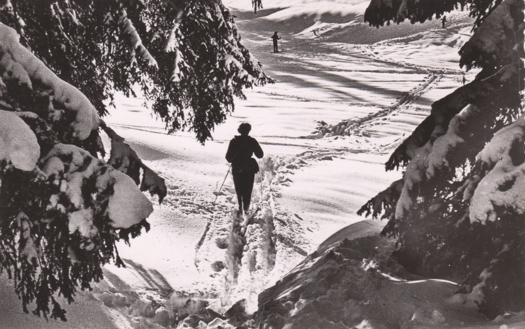 Environs De Ruffieu - La Combe De La Rochette