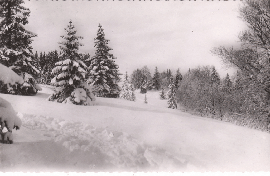 Environs De Ruffieu - Pré Neuf
