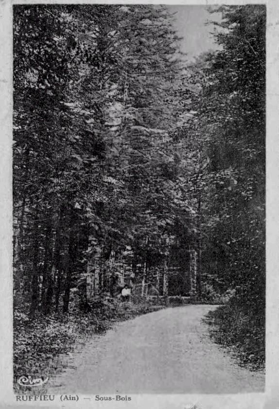 Ruffieu - Sous Bois