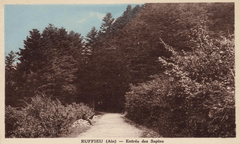 Environs De Ruffieu - Entrée Des Sapins