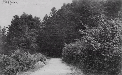 Environs De Ruffieu - Entrée Des Sapins Nb