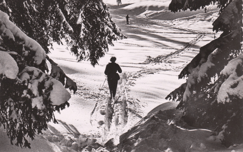 Environs De Ruffieu - La Combe De La Rochette
