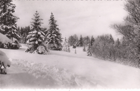 Environs De Ruffieu - Pré Neuf