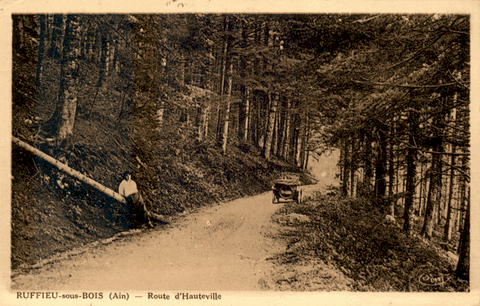 Environs De Ruffieu - Route D'Hauteville