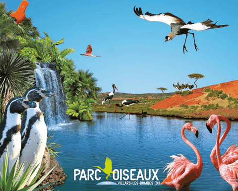 Parc Aux Oiseaux