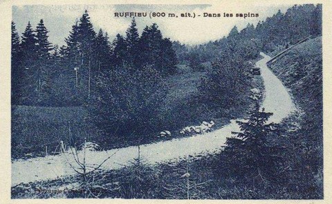 Ruffieu - Dans Les Sapins
